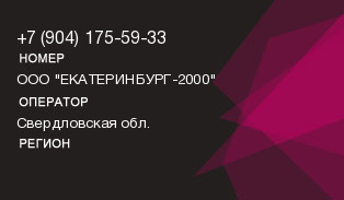 9041755933